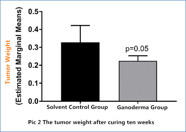 Ganoderma lucidum extract (GLE) impairs breast cancer stem cells by targeting the STAT3 pathway pic2