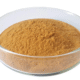 green tea extract powder.png