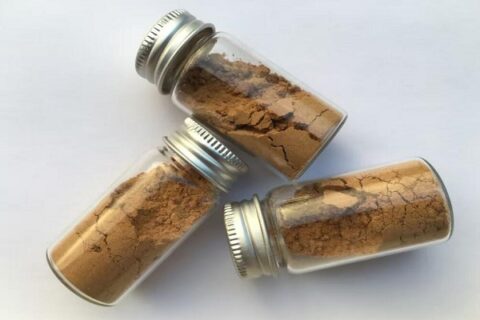 ganoderma lucidum powder