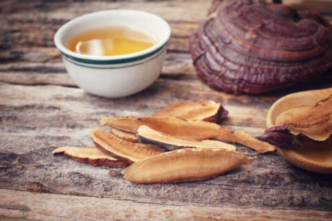 ganoderma lucidum powder 1