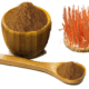 cordyceps extract