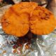 ganoderma lucidum beta glucan from MIGU