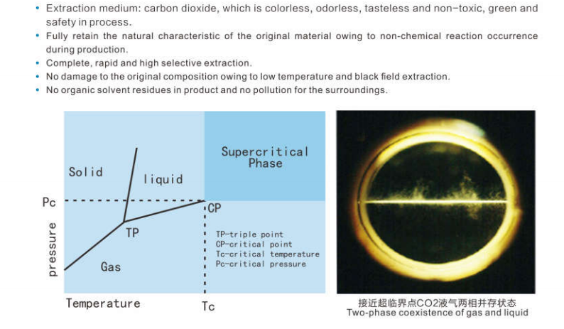 Technical Characteristics of reishi spore oil softgel