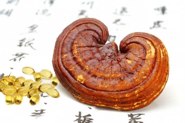 Immunoenhancing Features of Ganoderma Lucidum Spore Oil .jpg